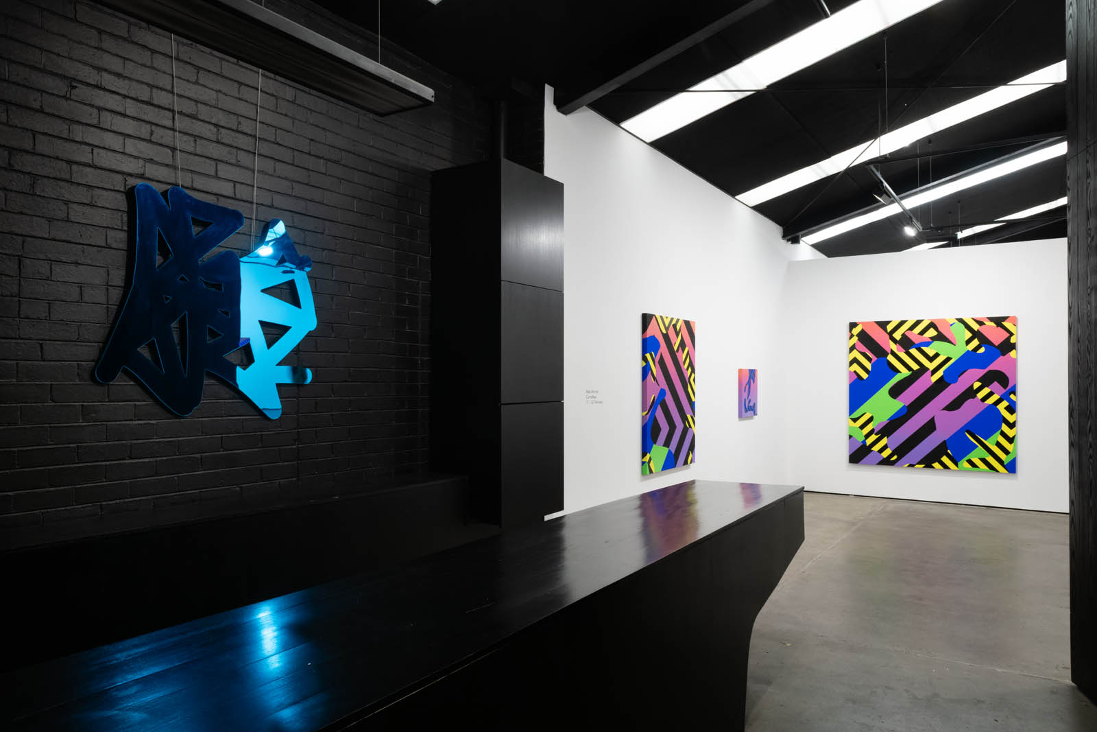 Reko-Rennie-install-Gallery89-20260217_DSC3694-edit